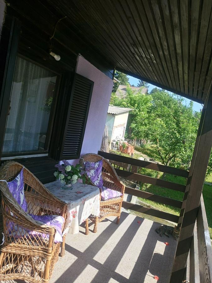 Apartmani Jankovic Vrdnik Exterior photo