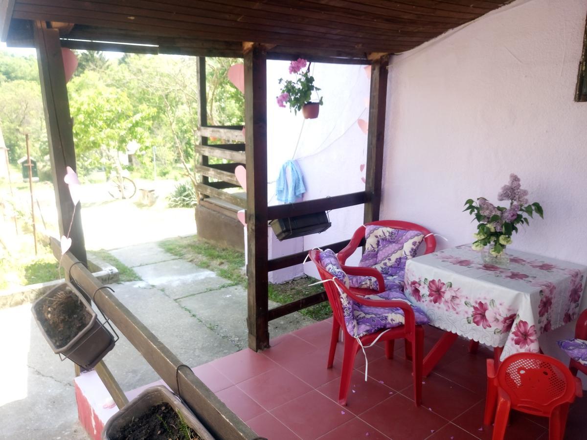 Apartmani Jankovic Vrdnik Exterior photo